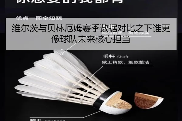 维尔茨与贝林厄姆赛季数据对比之下谁更像球队未来核心担当